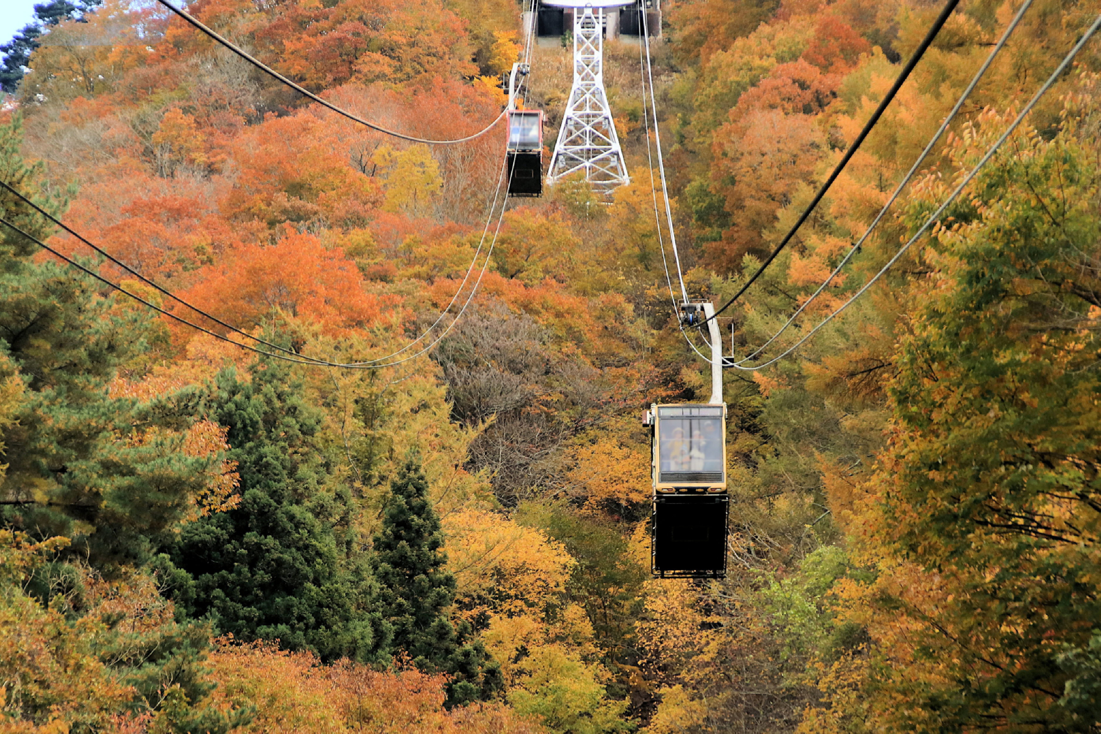 富士山パノラマロープウェイ